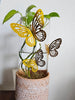 Golden Butterfly TopUp